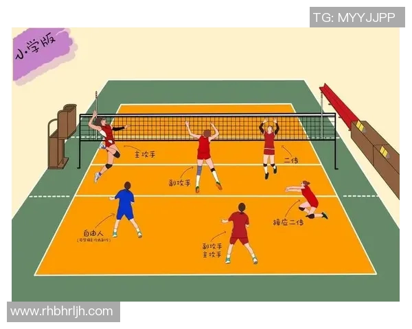 西安排球队的团队协作与战术配合深度分析与探讨