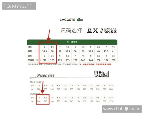 网球装备选购指南：如何选择适合自己的网球鞋推荐